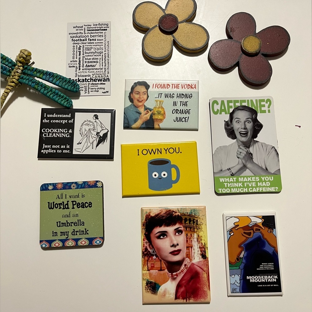 Bundle of cute and quirky magnets